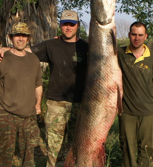 Texas-sized fish, Texas-sized fun! 